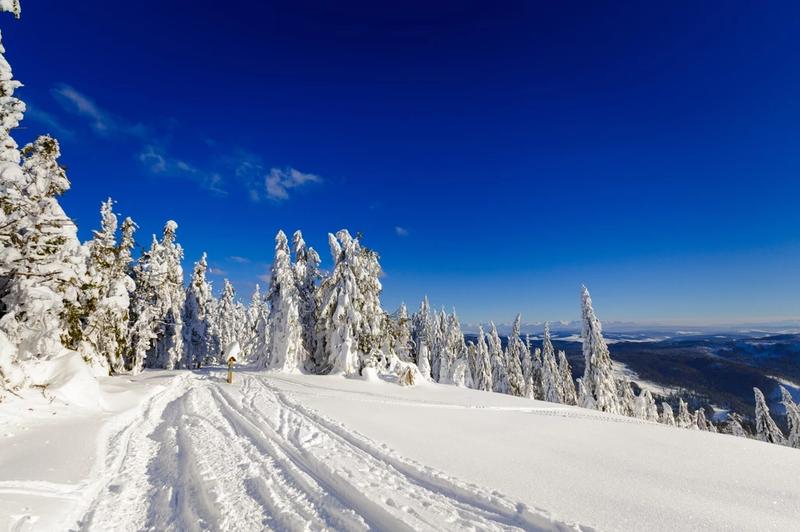 Trendy w modzie zima 2023