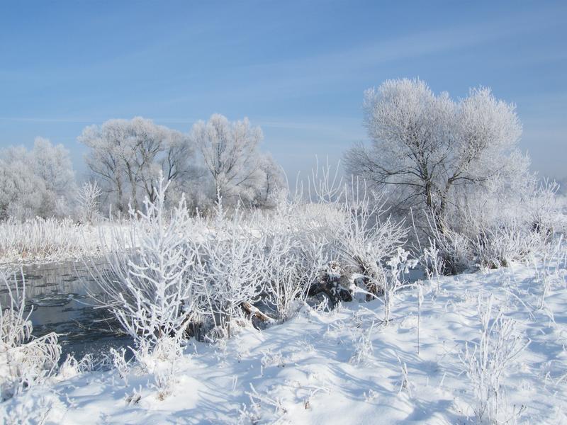 Elegancja i uniwersalność: trendy w modzie na zimę 2023/2024 w nowoczesnym wydaniu