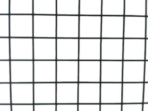 Krata: Ponadczasowy wzór, który znów podbija lasy w 2024 roku