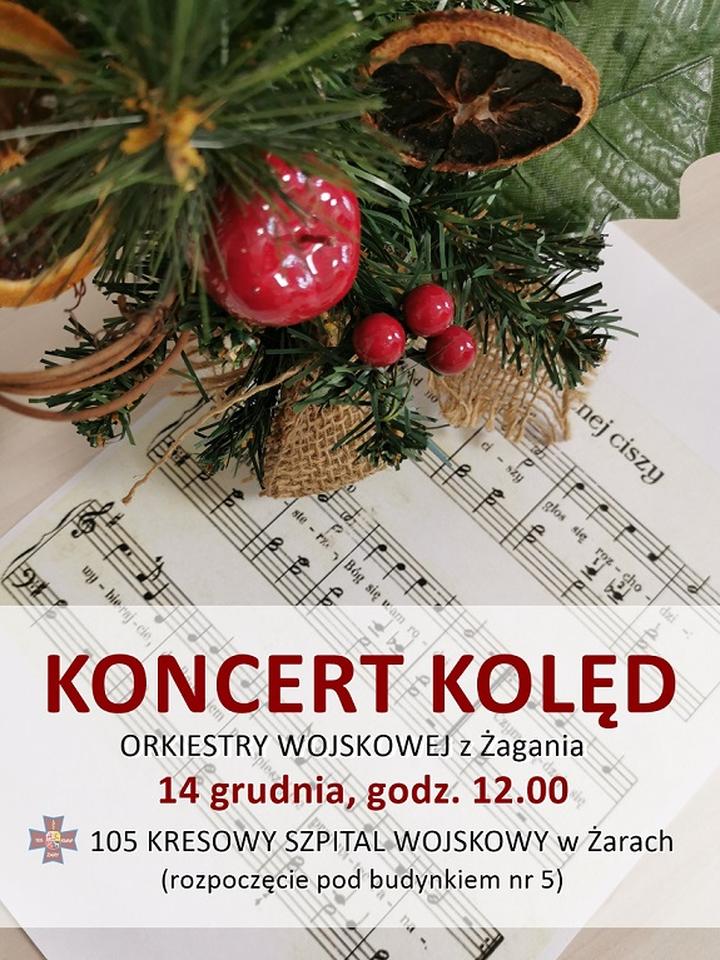 Domowe obżarstwo a zdrowie serca