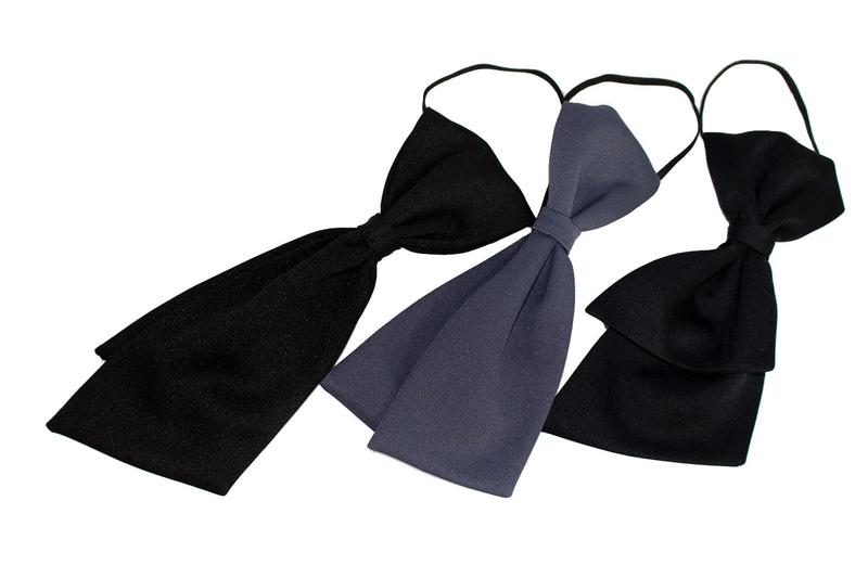 Historia i ewolucja musznika