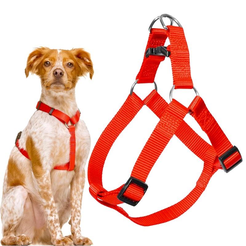 Rodzaje szelek dla psów