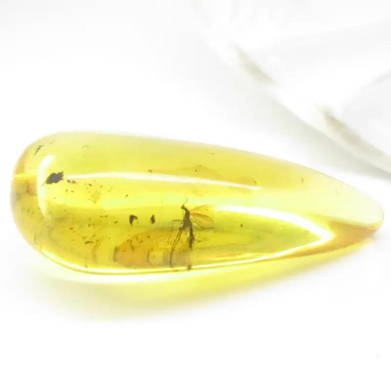 Ekologiczne aspekty bursztynowej biżuterii