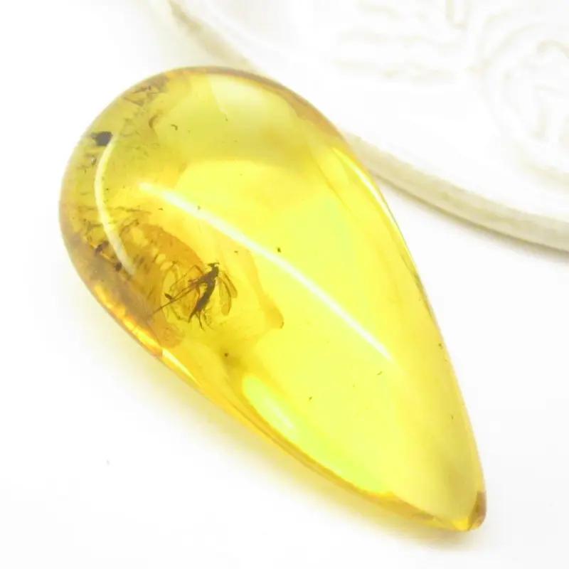 Influencerzy i trendy w mediach społecznościowych