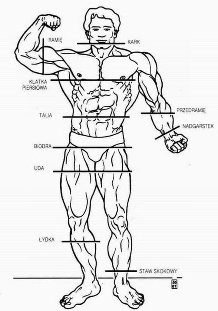 Wykorzystanie pomiarów w modzie i stylizacji