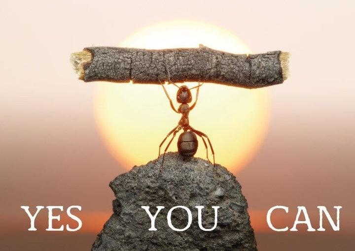 Zarządzanie czasem i efektywność